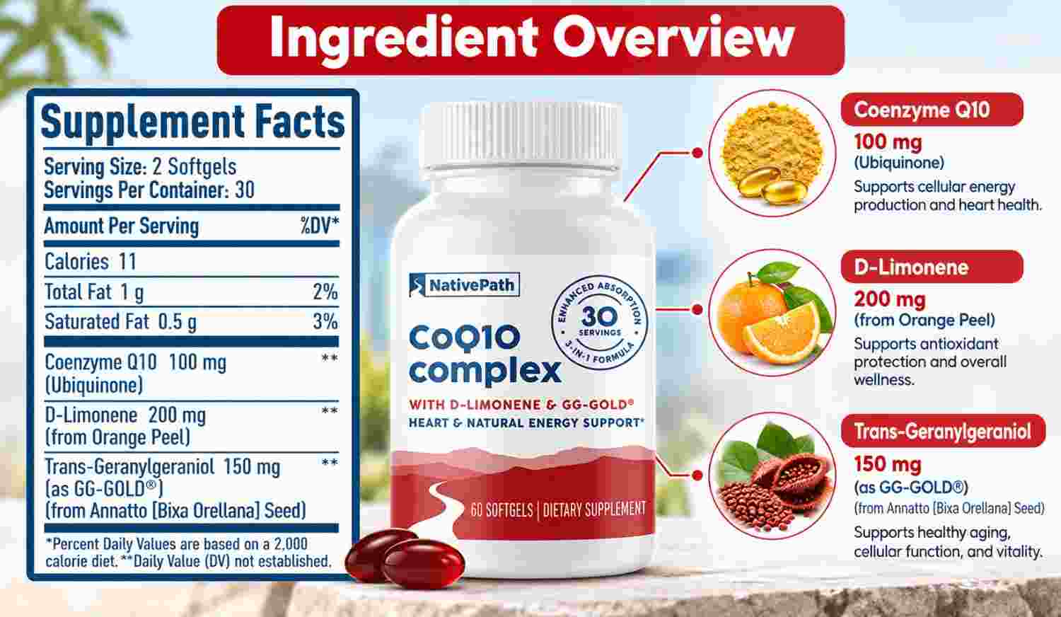 Ingredient Overview_ CoQ10 Complex